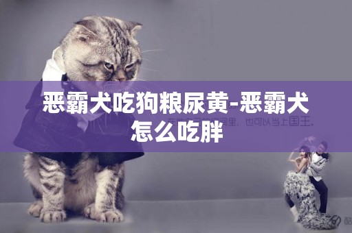 惡霸犬吃狗糧尿黃-惡霸犬怎么吃胖