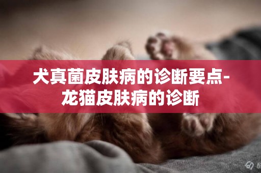 犬真菌皮膚病的診斷要點-龍貓皮膚病的診斷