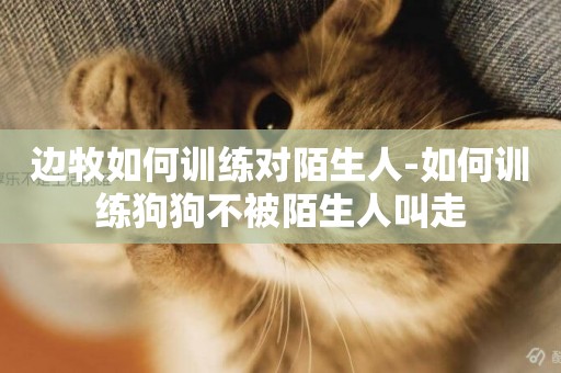 邊牧如何訓練對陌生人-如何訓練狗狗不被陌生人叫走
