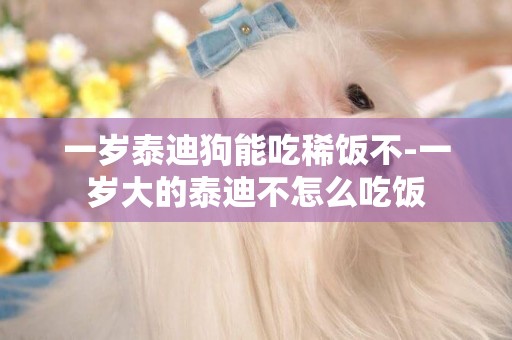 一歲泰迪狗能吃稀飯不-一歲大的泰迪不怎么吃飯