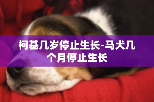柯基幾歲停止生長-馬犬幾個月停止生長