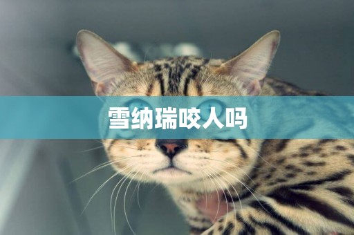 雪納瑞咬人嗎