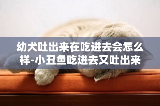 幼犬吐出來在吃進去會怎么樣-小丑魚吃進去又吐出來