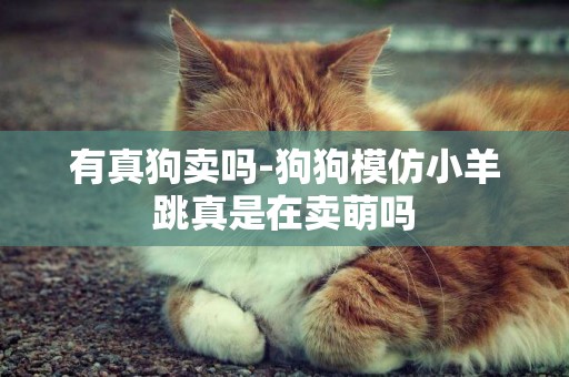 有真狗賣嗎-狗狗模仿小羊跳真是在賣萌嗎