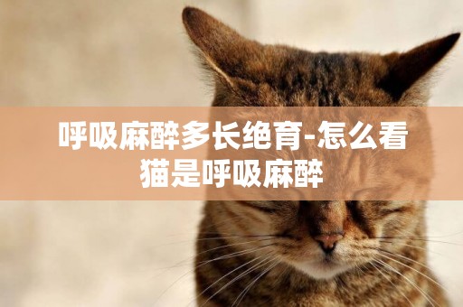 呼吸麻醉多長絕育-怎么看貓是呼吸麻醉