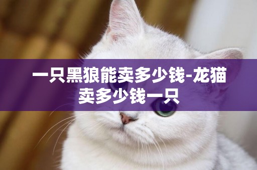 一只黑狼能賣多少錢-龍貓賣多少錢一只