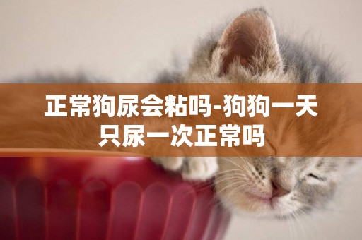正常狗尿會粘嗎-狗狗一天只尿一次正常嗎
