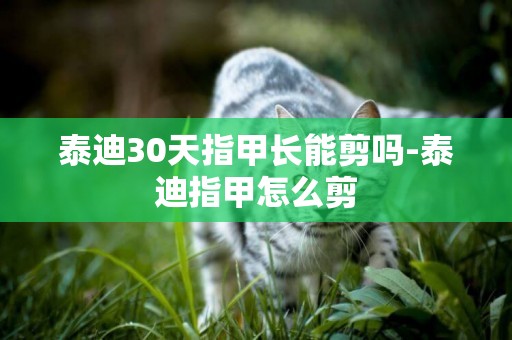 泰迪30天指甲長能剪嗎-泰迪指甲怎么剪