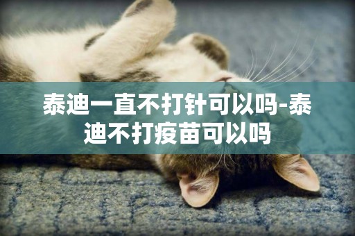 泰迪一直不打針可以嗎-泰迪不打疫苗可以嗎
