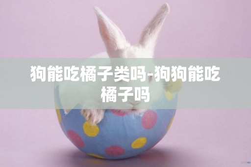 狗能吃橘子類嗎-狗狗能吃橘子嗎