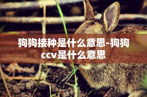 狗狗接種是什么意思-狗狗ccv是什么意思
