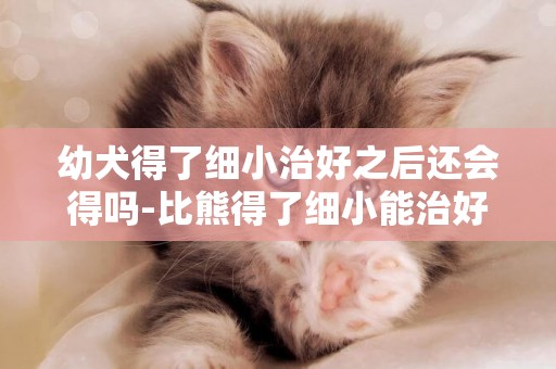 幼犬得了細小治好之后還會得嗎-比熊得了細小能治好嗎