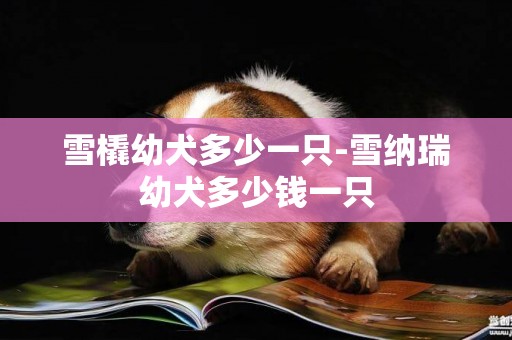 雪橇幼犬多少一只-雪納瑞幼犬多少錢一只