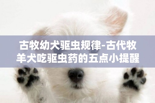 古牧幼犬驅蟲規律-古代牧羊犬吃驅蟲藥的五點小提醒