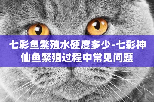 七彩魚繁殖水硬度多少-七彩神仙魚繁殖過程中常見問題