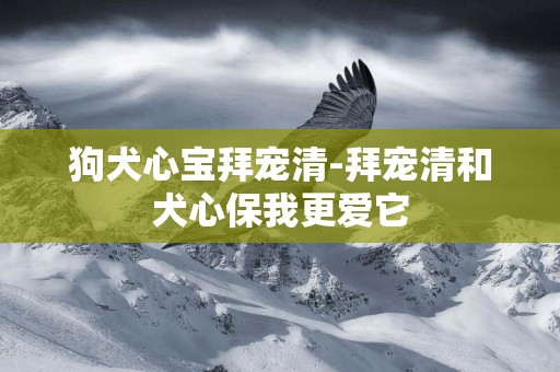 狗犬心寶拜寵清-拜寵清和犬心保我更愛它