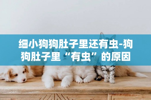 細小狗狗肚子里還有蟲-狗狗肚子里“有蟲”的原因