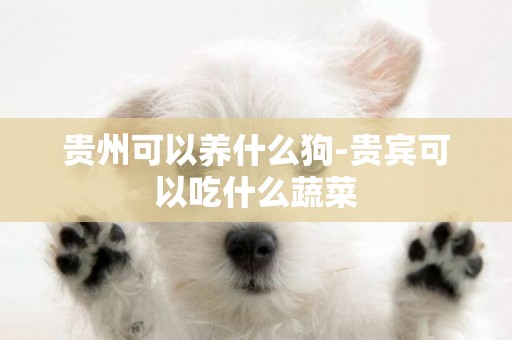 貴州可以養什么狗-貴賓可以吃什么蔬菜
