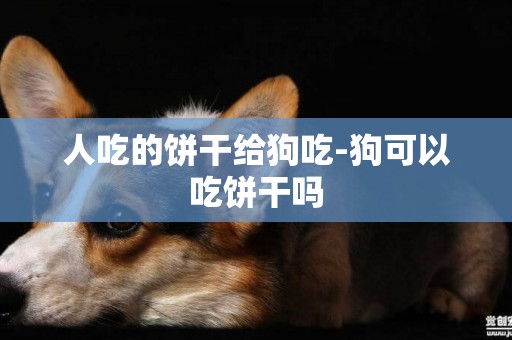 人吃的餅干給狗吃-狗可以吃餅干嗎