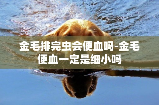金毛排完蟲會便血嗎-金毛便血一定是細小嗎