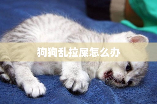 狗狗亂拉屎怎么辦
