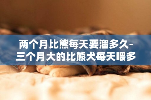 兩個月比熊每天要溜多久-三個月大的比熊犬每天喂多少狗糧