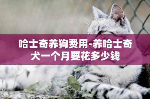 哈士奇養狗費用-養哈士奇犬一個月要花多少錢
