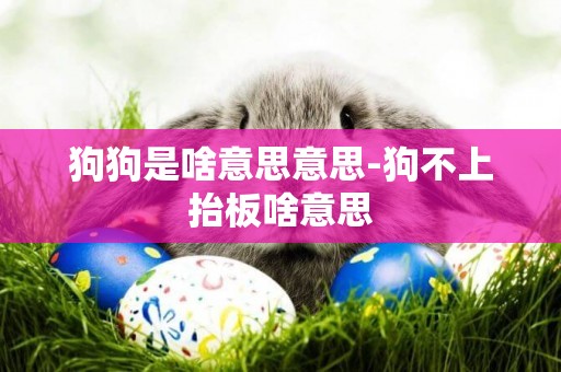 狗狗是啥意思意思-狗不上抬板啥意思