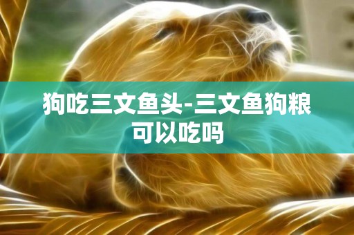 狗吃三文魚頭-三文魚狗糧可以吃嗎