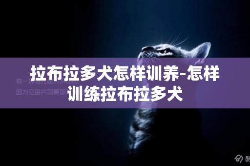拉布拉多犬怎樣訓養-怎樣訓練拉布拉多犬