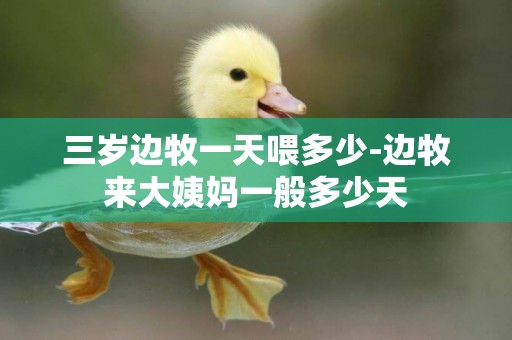 三歲邊牧一天喂多少-邊牧來大姨媽一般多少天