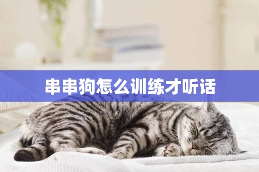 串串狗怎么訓練才聽話