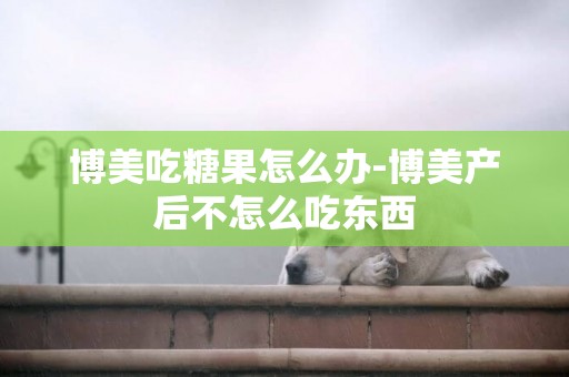 博美吃糖果怎么辦-博美產后不怎么吃東西