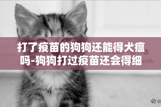 打了疫苗的狗狗還能得犬瘟嗎-狗狗打過疫苗還會得細小嗎
