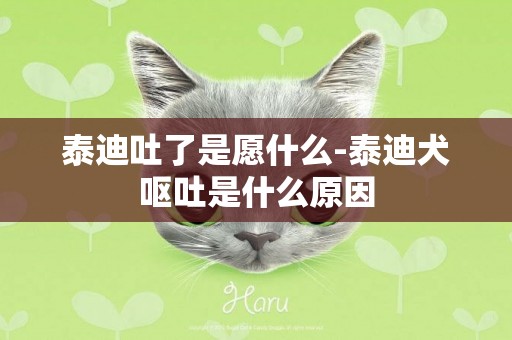 泰迪吐了是愿什么-泰迪犬嘔吐是什么原因