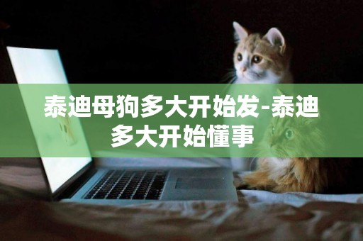 泰迪母狗多大開始發-泰迪多大開始懂事