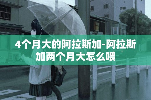 4個月大的阿拉斯加-阿拉斯加兩個月大怎么喂