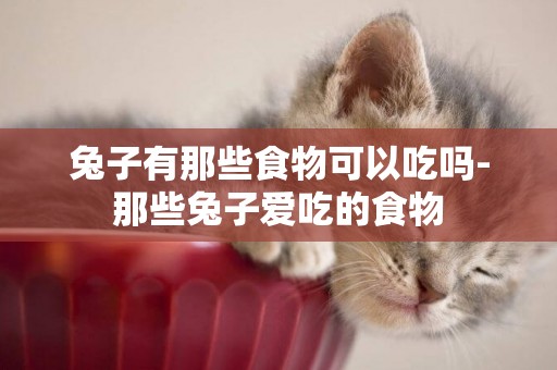 兔子有那些食物可以吃嗎-那些兔子愛吃的食物