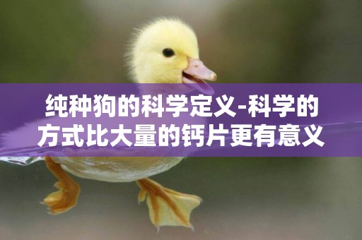 純種狗的科學定義-科學的方式比大量的鈣片更有意義