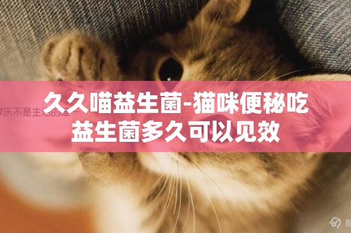 久久喵益生菌-貓咪便秘吃益生菌多久可以見效