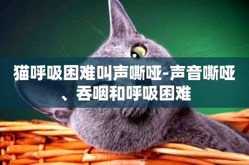貓呼吸困難叫聲嘶啞-聲音嘶啞、吞咽和呼吸困難