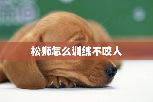 松獅怎么訓練不咬人