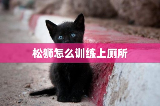 松獅怎么訓練上廁所