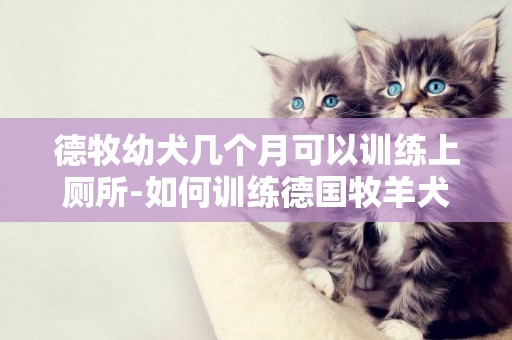 德牧幼犬幾個月可以訓練上廁所-如何訓練德國牧羊犬固定地方上廁所