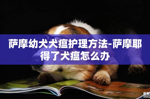 薩摩幼犬犬瘟護理方法-薩摩耶得了犬瘟怎么辦