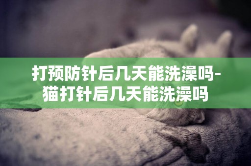 打預防針后幾天能洗澡嗎-貓打針后幾天能洗澡嗎