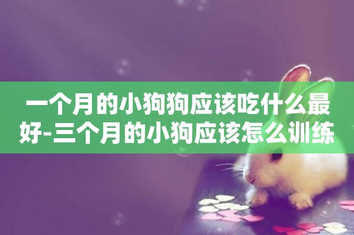 一個月的小狗狗應該吃什么最好-三個月的小狗應該怎么訓練