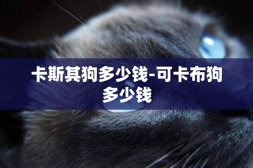 卡斯其狗多少錢-可卡布狗多少錢