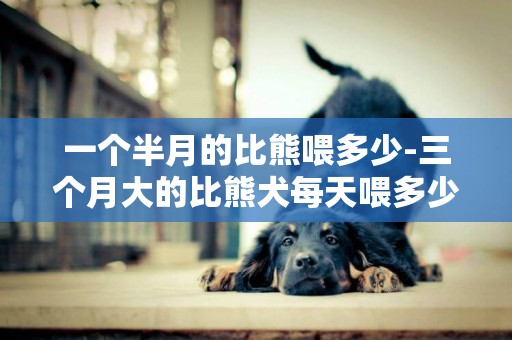 一個半月的比熊喂多少-三個月大的比熊犬每天喂多少狗糧