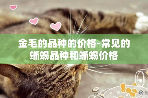 金毛的品種的價格-常見的蜥蜴品種和蜥蜴價格